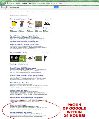 Google SEO Results